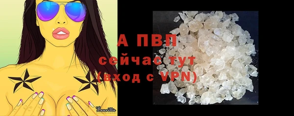 сатива Волоколамск