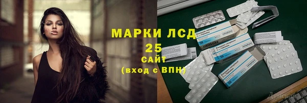 сатива Волоколамск