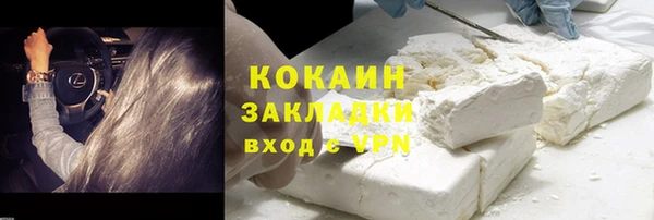сатива Волоколамск