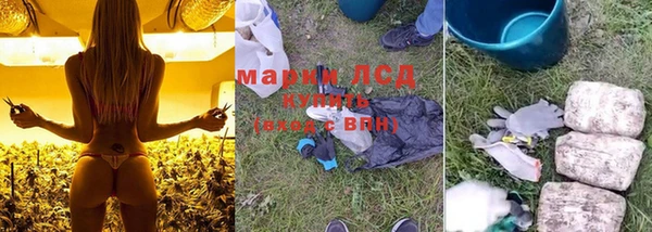 сатива Волоколамск