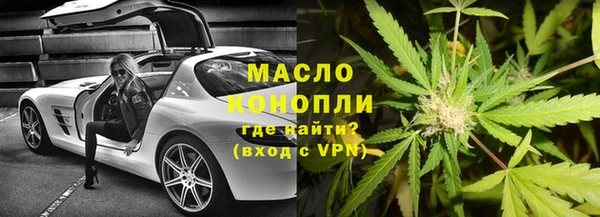 сатива Волоколамск