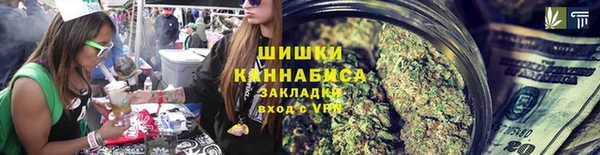 сатива Волоколамск