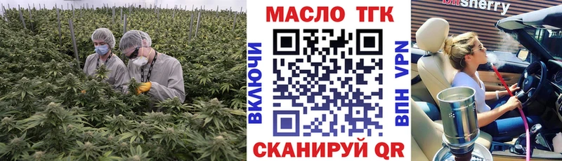Купить где  Карпинск  ТГК концентрат 